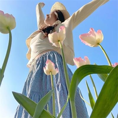 科搜研之女第24季